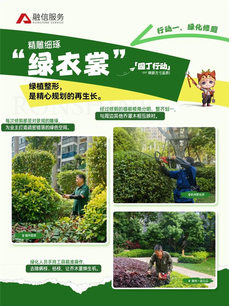 澳门免费原料网