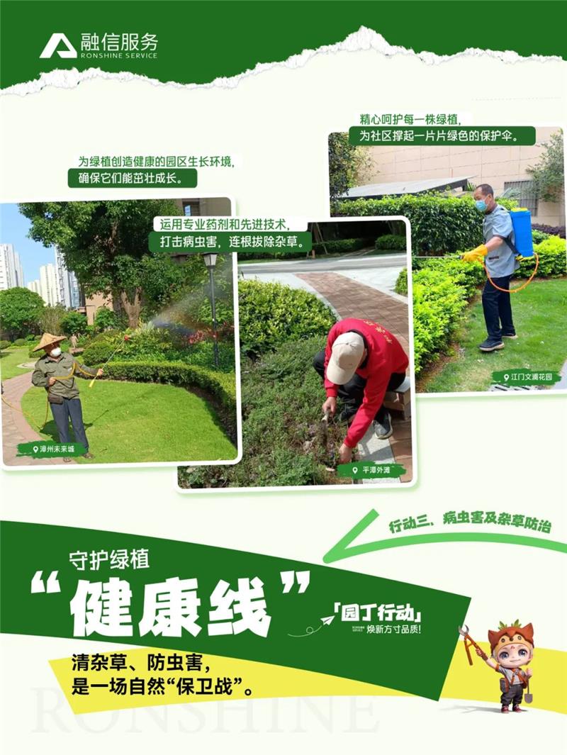 澳门免费原料网